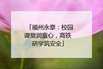 福州永泰：校园课堂润童心，高铁研学筑安全