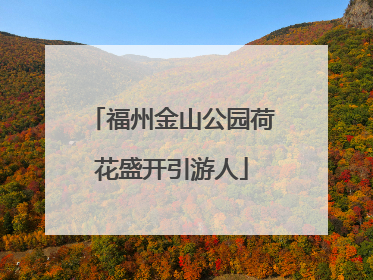 福州金山公园荷花盛开引游人