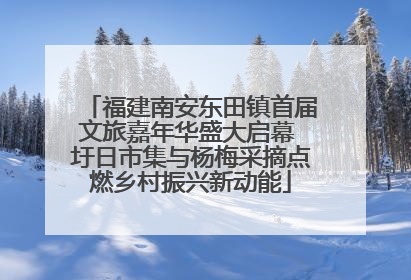 福建南安东田镇首届文旅嘉年华盛大启幕 圩日市集与杨梅采摘点燃乡村振兴新动能