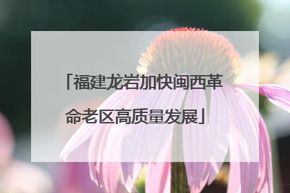 福建龙岩加快闽西革命老区高质量发展