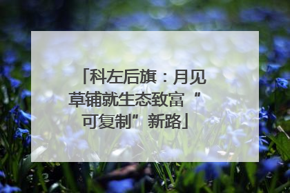 科左后旗：月见草铺就生态致富“可复制”新路