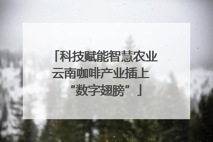 科技赋能智慧农业 云南咖啡产业插上“数字翅膀”