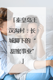 秦皇岛王汉沟村：长城脚下的“甜蜜事业”