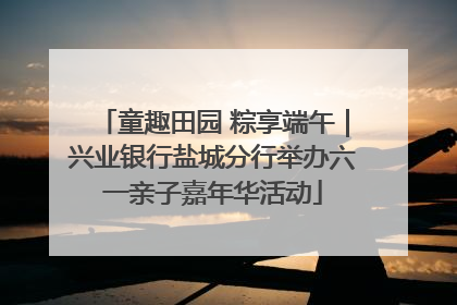 童趣田园 粽享端午｜兴业银行盐城分行举办六一亲子嘉年华活动