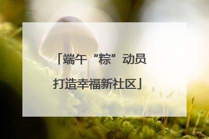 端午“粽”动员 打造幸福新社区