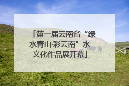 第一届云南省“绿水青山·彩云南”水文化作品展开幕