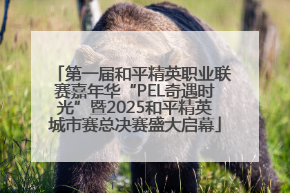 第一届和平精英职业联赛嘉年华“PEL奇遇时光”暨2025和平精英城市赛总决赛盛大启幕
