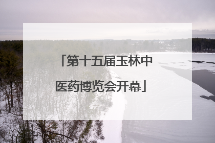 第十五届玉林中医药博览会开幕
