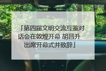 第四届文明交流互鉴对话会在敦煌开幕 胡昌升出席开幕式并致辞