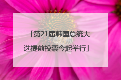 第21届韩国总统大选提前投票今起举行