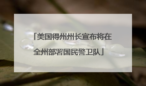 美国得州州长宣布将在全州部署国民警卫队