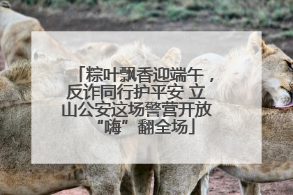 粽叶飘香迎端午，反诈同行护平安 立山公安这场警营开放“嗨”翻全场