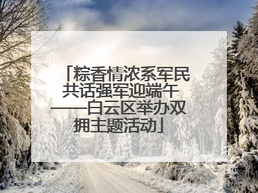 粽香情浓系军民 共话强军迎端午——白云区举办双拥主题活动