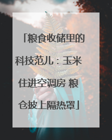 粮食收储里的科技范儿：玉米住进空调房 粮仓披上隔热罩