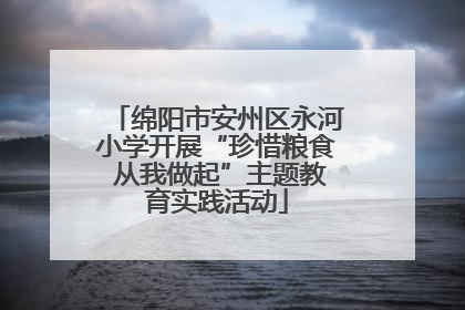 绵阳市安州区永河小学开展“珍惜粮食 从我做起”主题教育实践活动