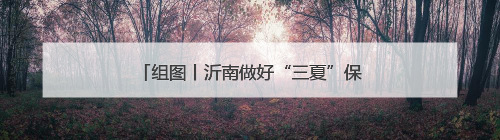 组图丨沂南做好“三夏”保障工作 确保小麦颗粒归仓