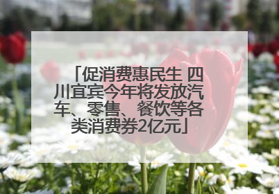 促消费惠民生 四川宜宾今年将发放汽车、零售、餐饮等各类消费券2亿元