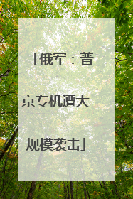 俄军：普京专机遭大规模袭击