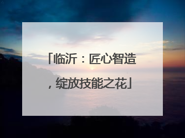 临沂：匠心智造，绽放技能之花