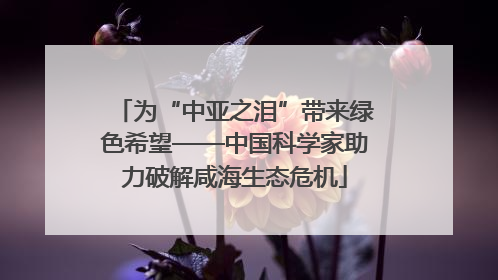 为“中亚之泪”带来绿色希望——中国科学家助力破解咸海生态危机