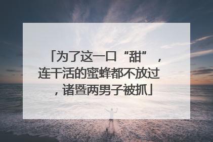为了这一口“甜”，连干活的蜜蜂都不放过，诸暨两男子被抓
