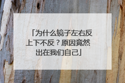 为什么镜子左右反上下不反？原因竟然出在我们自己