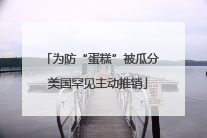 为防“蛋糕”被瓜分 美国罕见主动推销