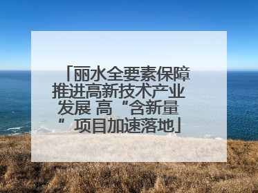 丽水全要素保障推进高新技术产业发展 高“含新量”项目加速落地