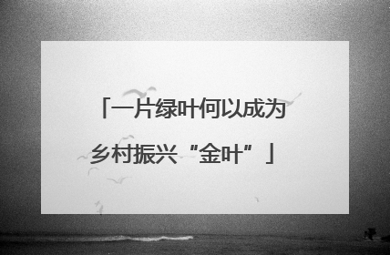 一片绿叶何以成为乡村振兴“金叶”