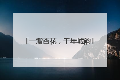 一瓣杏花，千年城韵