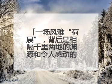 一场风雅“荷展”，背后是相隔千里两地的渊源和令人感动的历史人文情怀