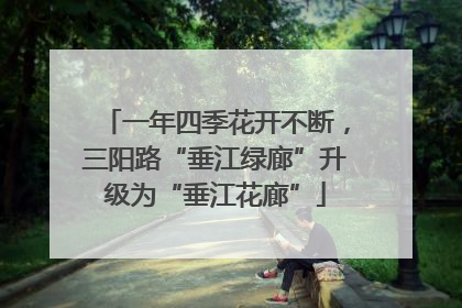 一年四季花开不断，三阳路“垂江绿廊”升级为“垂江花廊”