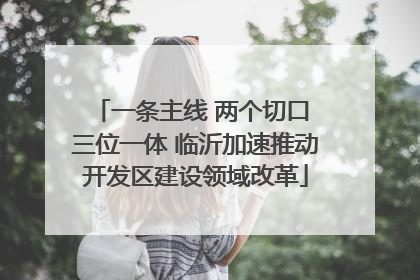 一条主线 两个切口 三位一体 临沂加速推动开发区建设领域改革