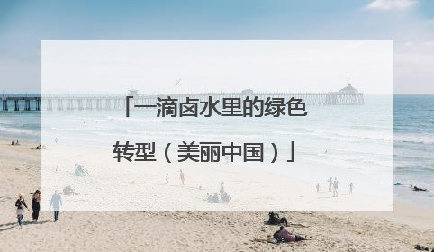 一滴卤水里的绿色转型（美丽中国）