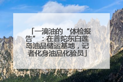 一滴油的“体检报告”：在普陀东白莲岛油品储运基地，记者化身油品化验员
