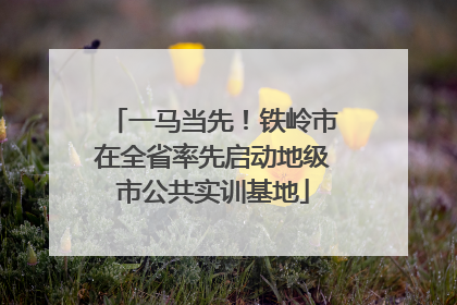 一马当先！铁岭市在全省率先启动地级市公共实训基地