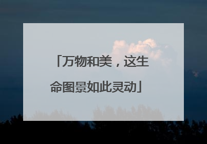万物和美，这生命图景如此灵动