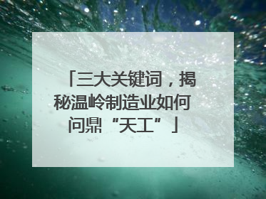 三大关键词，揭秘温岭制造业如何问鼎“天工”