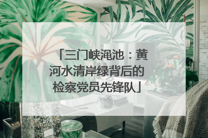 三门峡渑池：黄河水清岸绿背后的检察党员先锋队