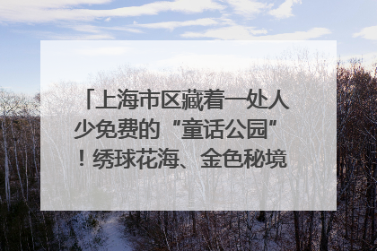 上海市区藏着一处人少免费的“童话公园”！绣球花海、金色秘境……地铁直达→