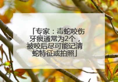 专家：毒蛇咬伤牙痕通常为2个，被咬后尽可能记清蛇特征或拍照