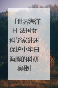 世界海洋日 法国女科学家讲述保护中华白海豚的科研奥秘