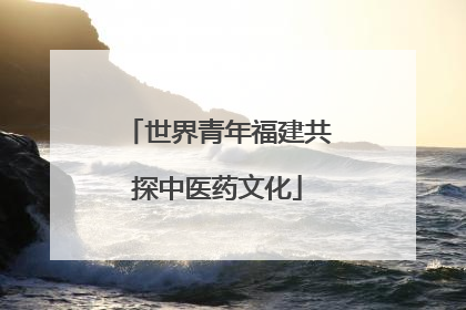 世界青年福建共探中医药文化