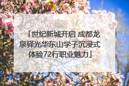 世纪新城开启 成都龙泉驿光华东山学子沉浸式体验72行职业魅力