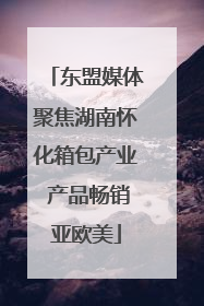 东盟媒体聚焦湖南怀化箱包产业 产品畅销亚欧美