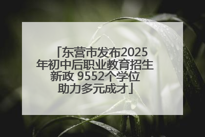 东营市发布2025年初中后职业教育招生新政 9552个学位助力多元成才
