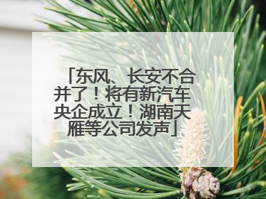 东风、长安不合并了！将有新汽车央企成立！湖南天雁等公司发声