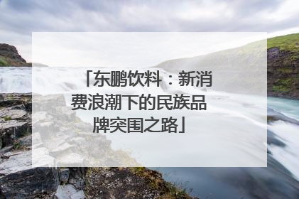 东鹏饮料：新消费浪潮下的民族品牌突围之路