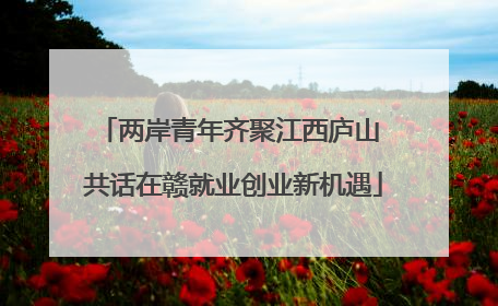 两岸青年齐聚江西庐山 共话在赣就业创业新机遇