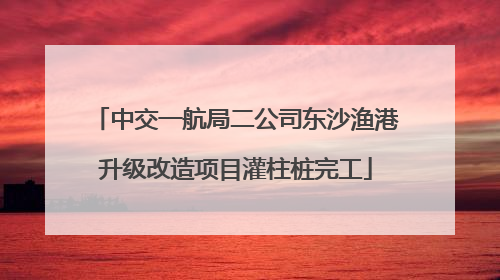 中交一航局二公司东沙渔港升级改造项目灌柱桩完工